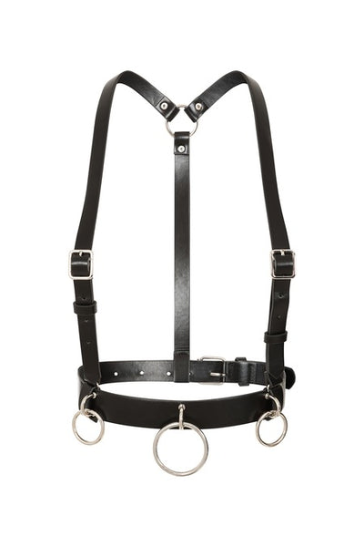 Dominion Harness