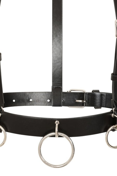 Dominion Harness
