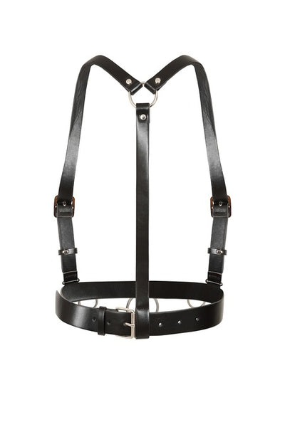 Dominion Harness