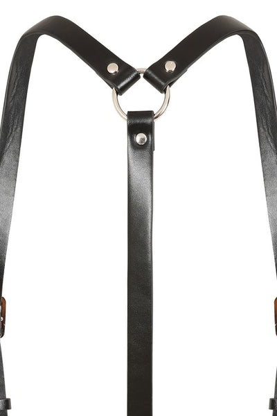 Dominion Harness