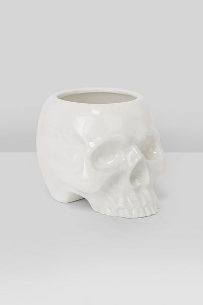 Cranium Blómapottur