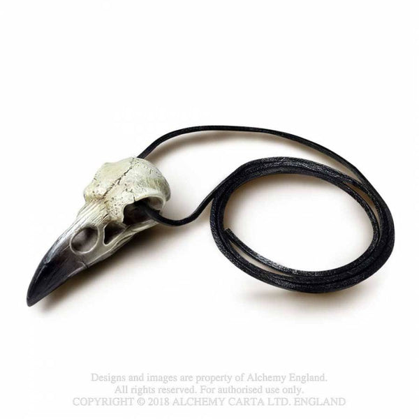 Small Raven Hauskúpa
