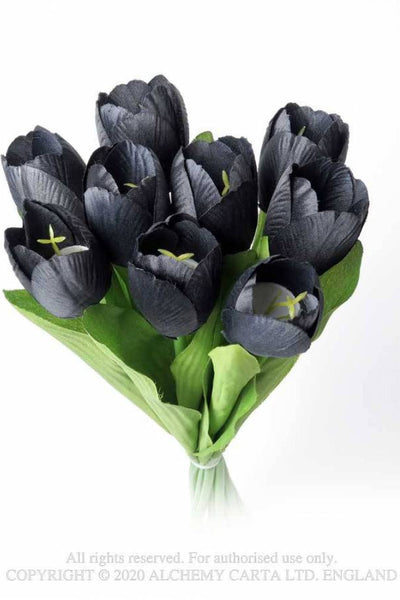 Black Tulip Búnt