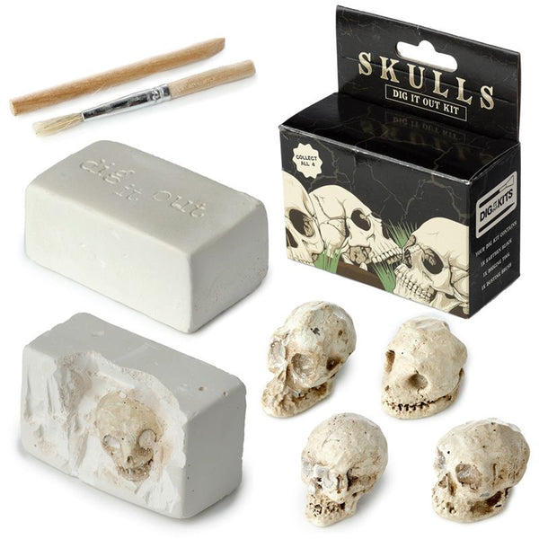 Human Skull Dig-A-Saurs