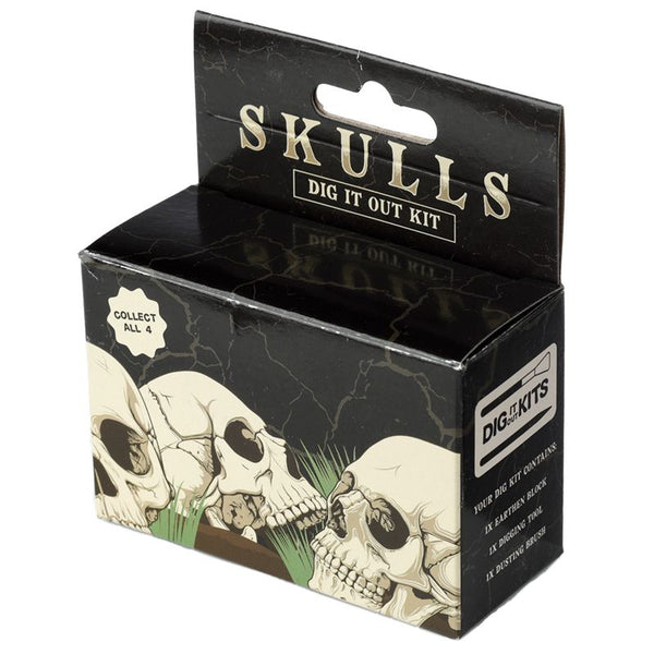 Human Skull Dig-A-Saurs