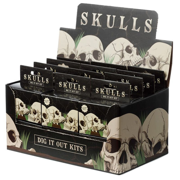 Human Skull Dig-A-Saurs