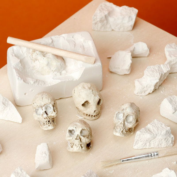 Human Skull Dig-A-Saurs