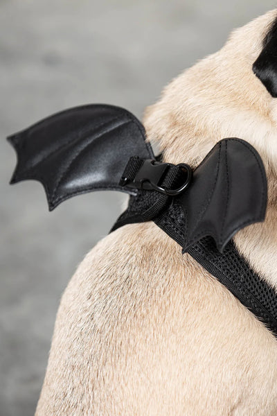Flutter Gæludýra Harness