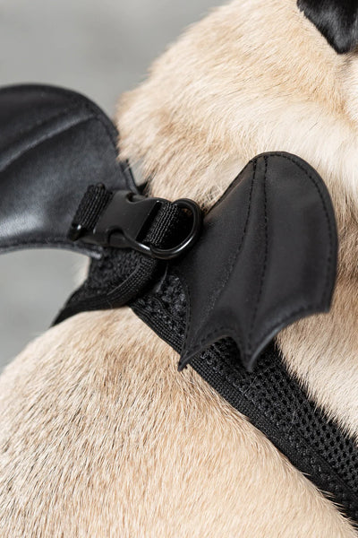 Flutter Gæludýra Harness