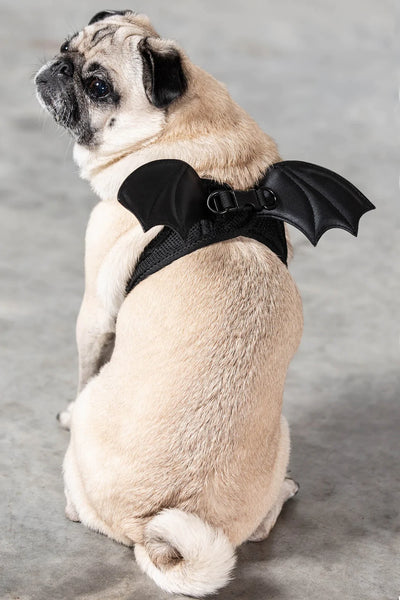 Flutter Gæludýra Harness