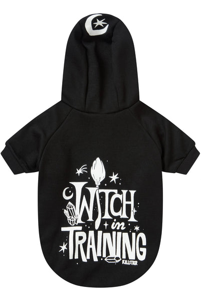 Witch In Training Gæludýrapeysa