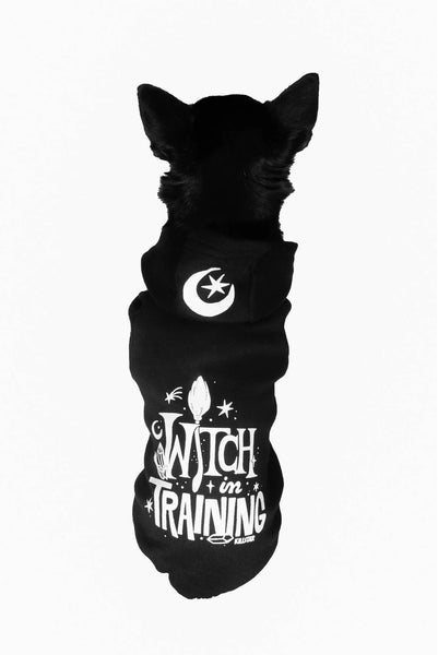 Witch In Training Gæludýrapeysa