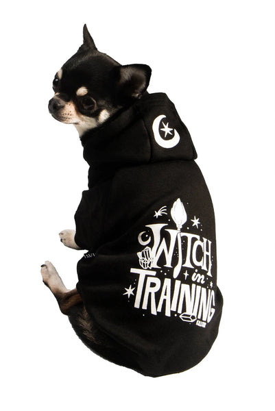 Witch In Training Gæludýrapeysa