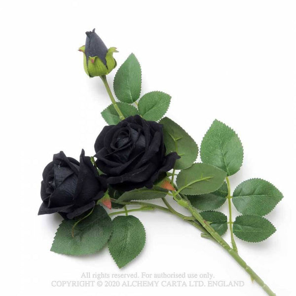 Black Roses skraut