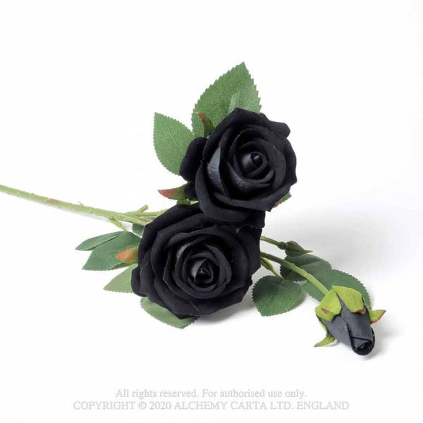 Black Roses skraut