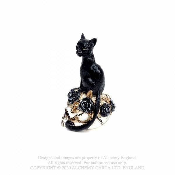 Miniature Cat/Skull