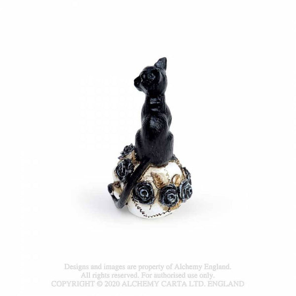 Miniature Cat/Skull