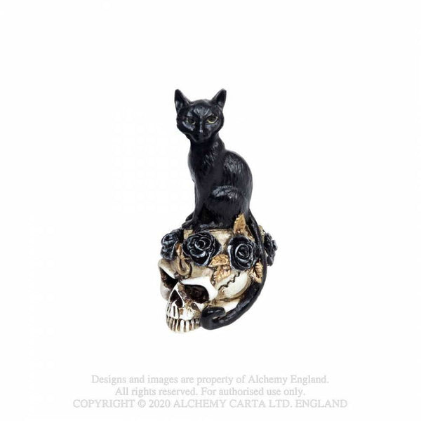 Miniature Cat/Skull