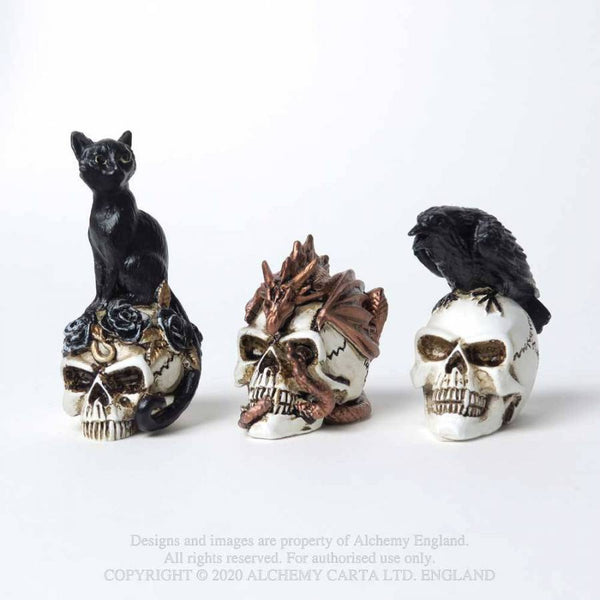 Miniature Dragon keeper Skull