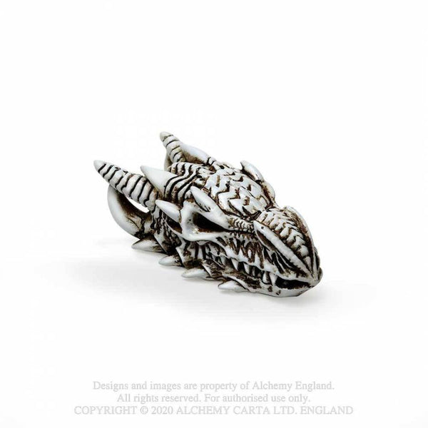 Miniature Dragon Skull