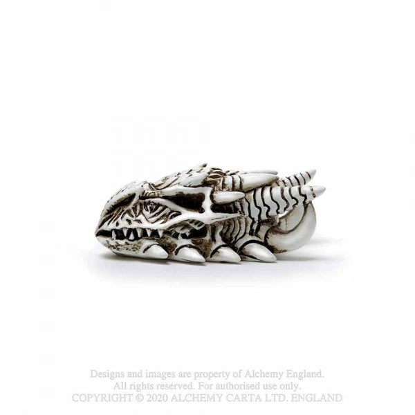Miniature Dragon Skull