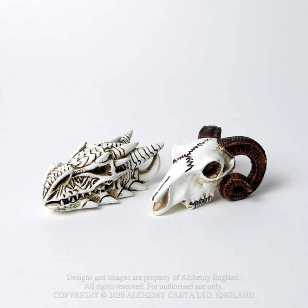 Miniature Rams Skull