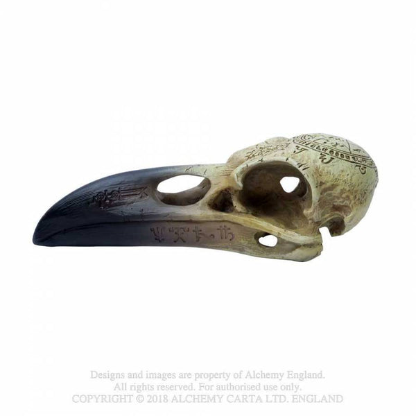 Omega Raven Hauskúpa
