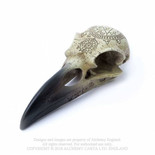 Omega Raven Hauskúpa