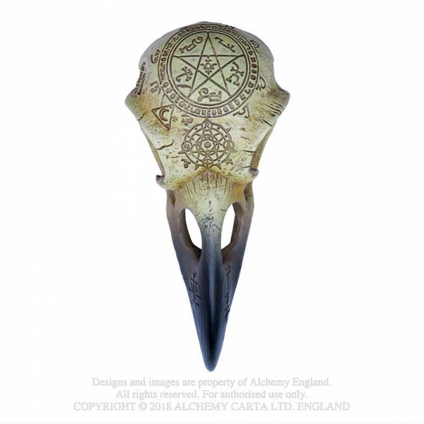 Omega Raven Hauskúpa
