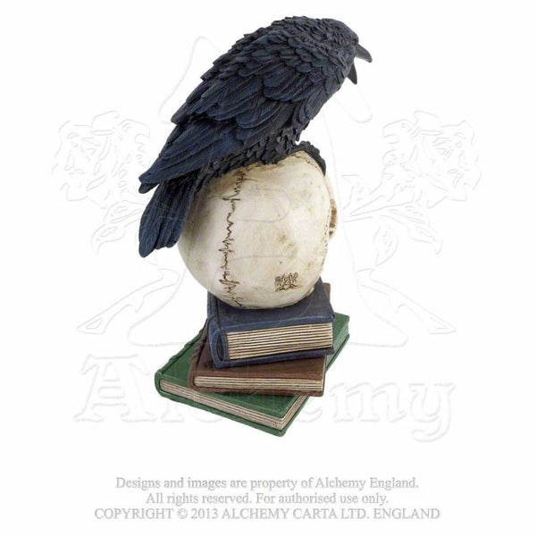 Poes Raven