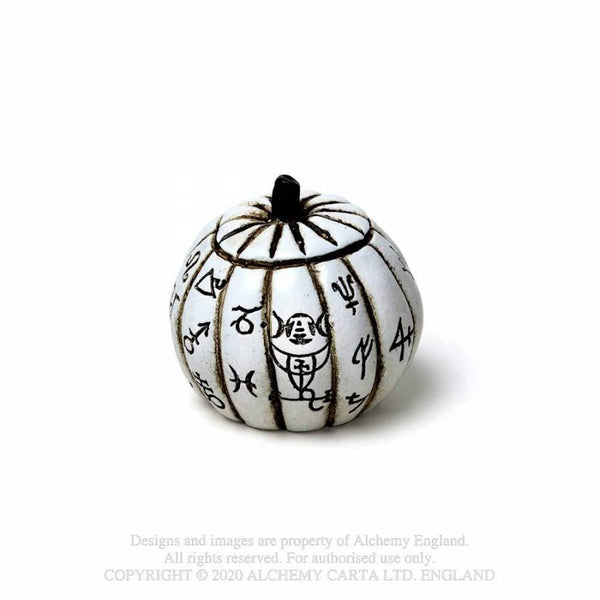 Miniature Pumpkin Skull
