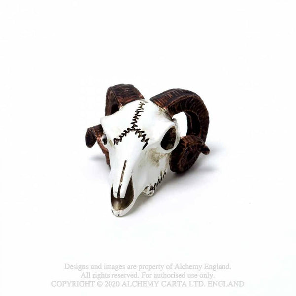 Miniature Rams Skull