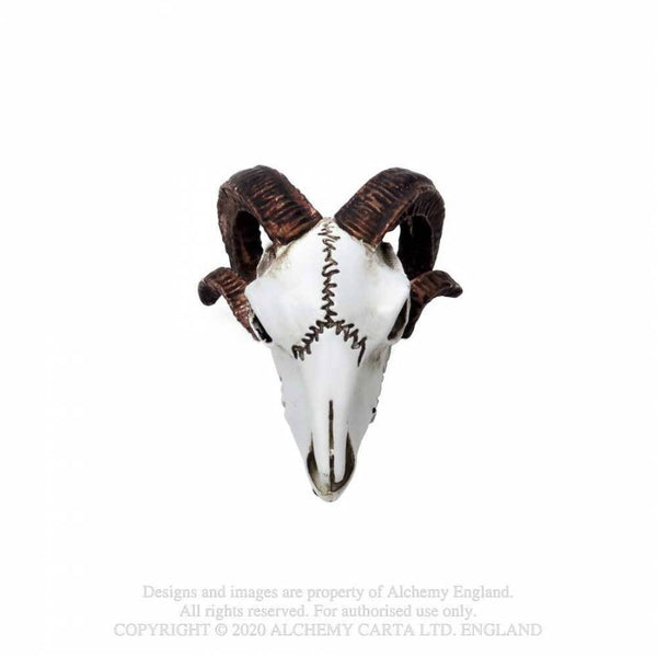 Miniature Rams Skull