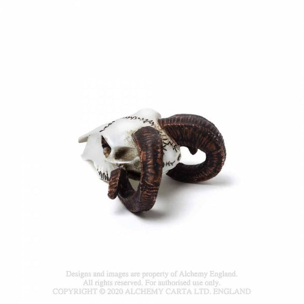 Miniature Rams Skull
