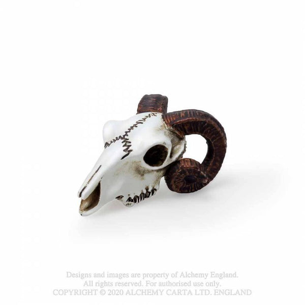 Miniature Rams Skull
