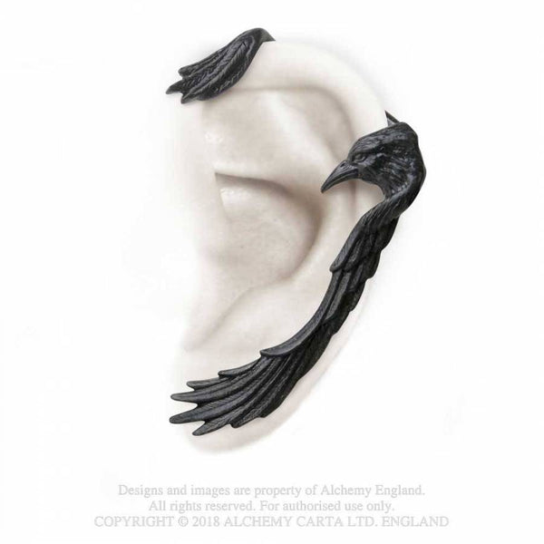 Raven Earwing