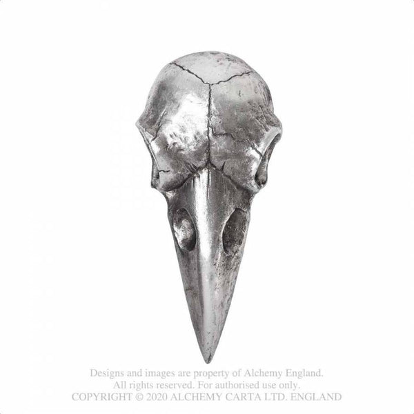 Silver Raven Skull Spegill