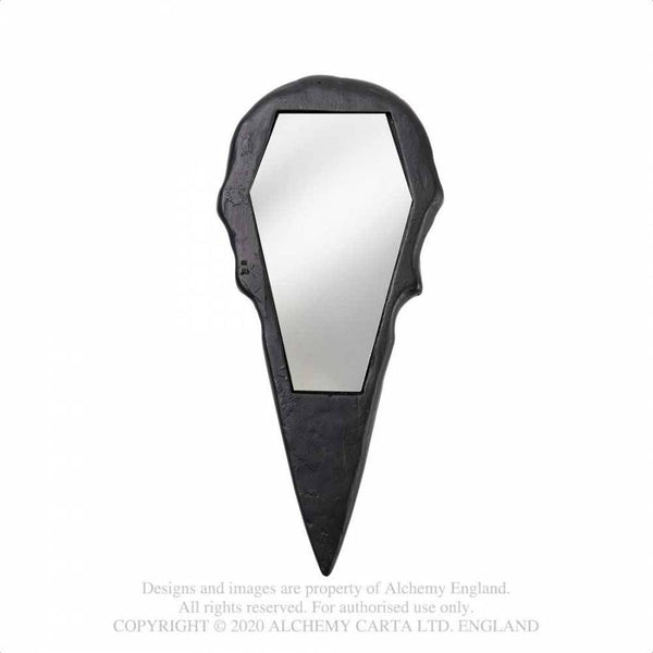 Black Raven Skull Spegill