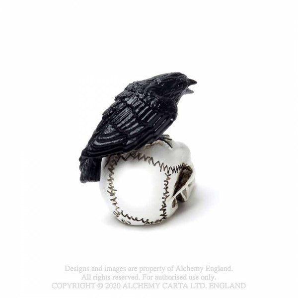Miniature Raven Skull