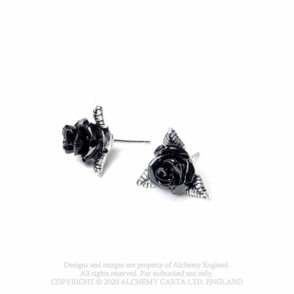 Ring O´Roses Eyrnalokkar