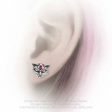 Sacred Cat Eyrnalokkar