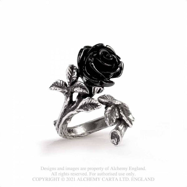 Wild Black Rose Hringur